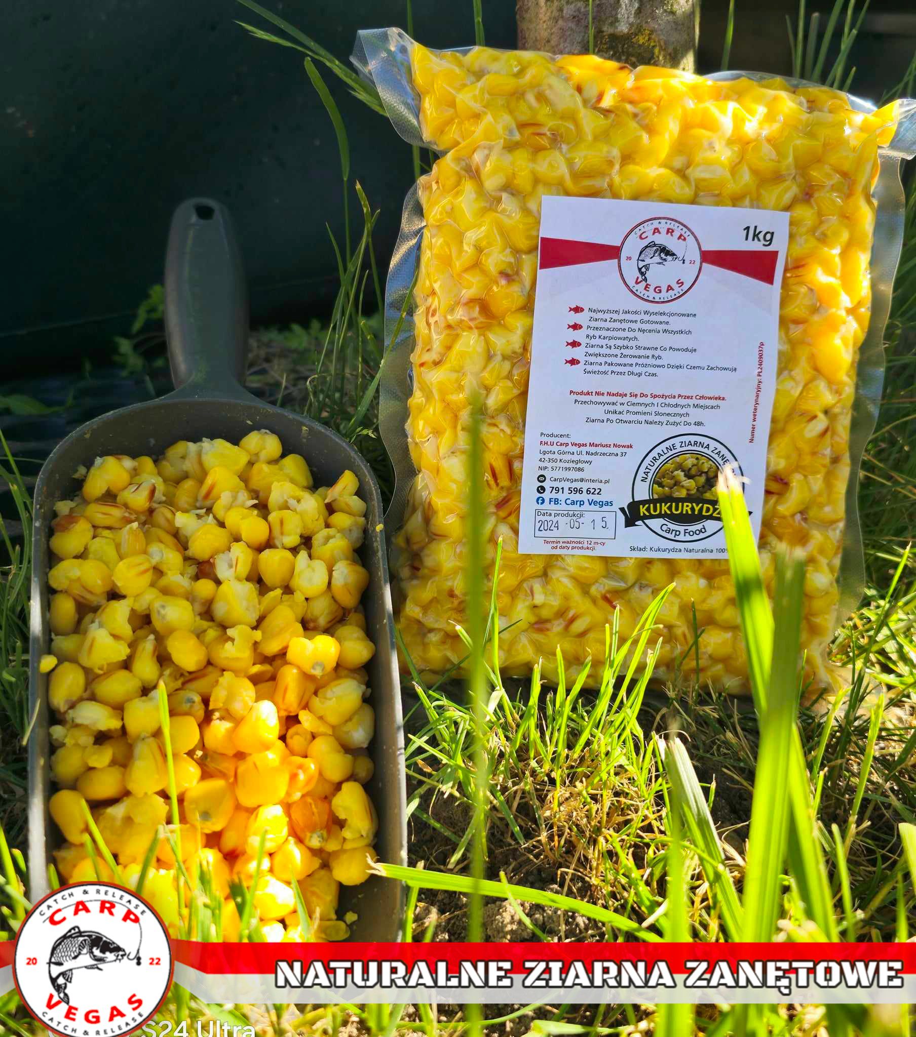 Kukurydza Carp Vegas