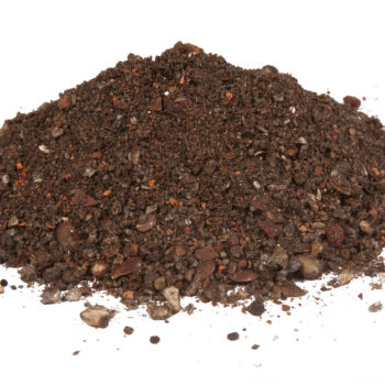 Zanęta DRAGON Elite PŁOĆ ochotka czarna