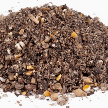 Zanęta DRAGON Combat LIN, KARAŚ kozieradka-arachid / czarna