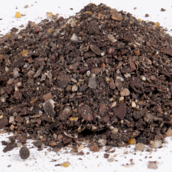 Zanęta DRAGON Combat PŁOĆ anyż-piernik / czarna