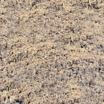 Zanęta DRAGON Magnum FEEDER