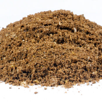 Zanęta DRAGON Magnum STANDARD